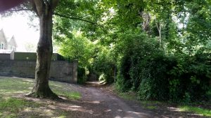 Photo Of Tivoli Woods In Margate, Kent.   How I become homeless aged 18 and addicted to drugs. 2015 06 25 10